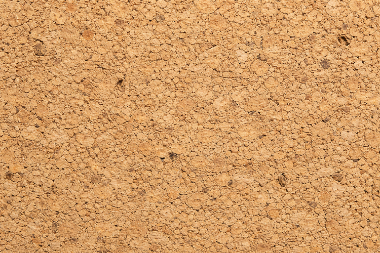Sustainable Portuguese Cork Yoga Mats